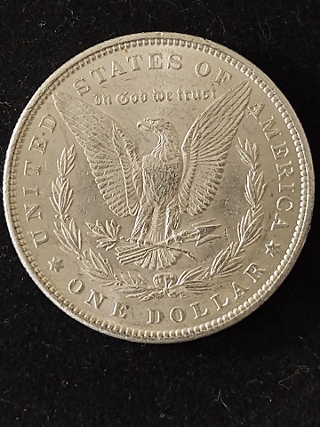 Sorry-,-First-Time-Poster-Looking-For-Some-Answers.-Zombie-Lips-Morgan-Dollar.-1882